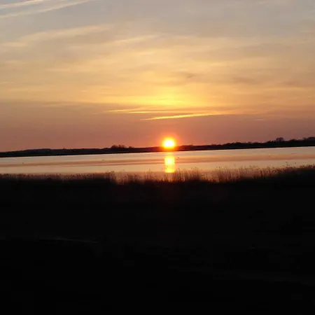 Boddenblick Und Kranich Vieregge